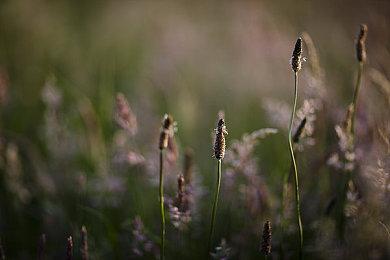 人气射击系列新作《Aleste Branch》2022年初推出